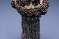 Column