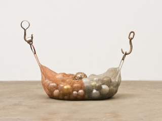 seed pod 1