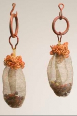 Two Curly Seed Pods