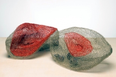 Two Pods/Four Seeds