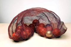 Opened Pod #1